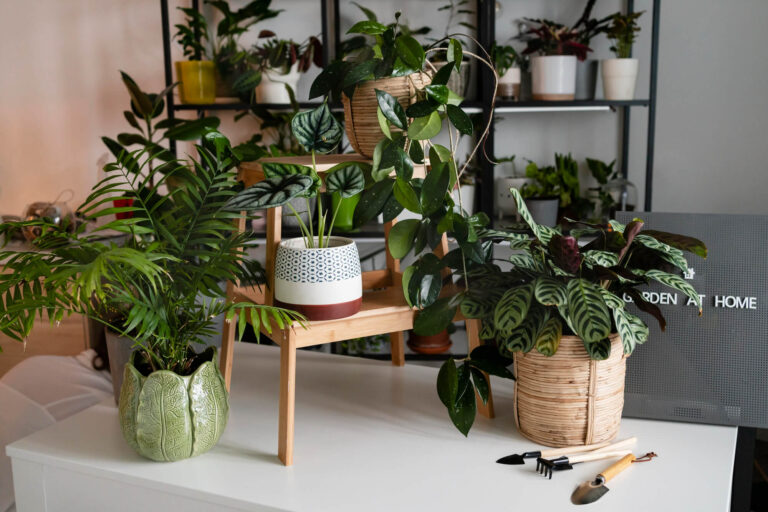Best Plant Stand for Indoors & Outdoors – 2025 Picks
