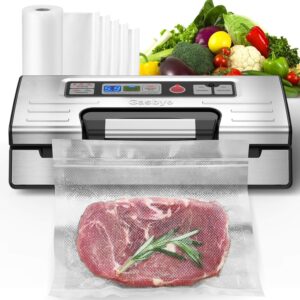 Gasbye silver vacuum sealer featuring 95kPa suction, double heat seal, easy-lock handle, built-in cutter, and drip tray.