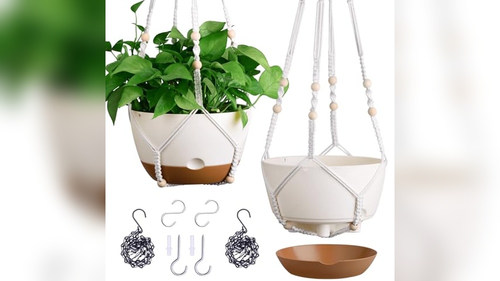 Hanging Planters